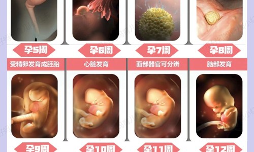 怀孕期间尿蛋白3 什么原因网-分享孕期检查尿蛋白结果三个 是怎么回事，怀孕尿蛋白3个加号严重吗怎么办知识库